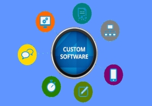 Custom Software Development Company